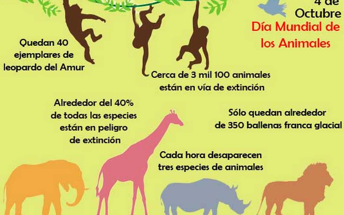 4 de Octubre, Día Mundial de los Animales El Sol de Puebla Noticias