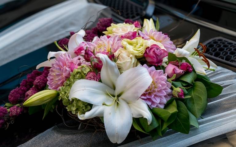 Todo comunica! Conoce el lenguaje de las flores Rosas Rojas Rosas Blancas  Geranios Jazmín Lilas Rosa Príncipe Negro Tulipanes Violetas Hortensia  emociones pensamientos sentimientos felicidad éxito respeto pesar lenguaje  oculto - El