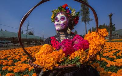 Día de Muertos 2022: ¿Cuándo se debe quitar la ofrenda? - El Sol de Puebla