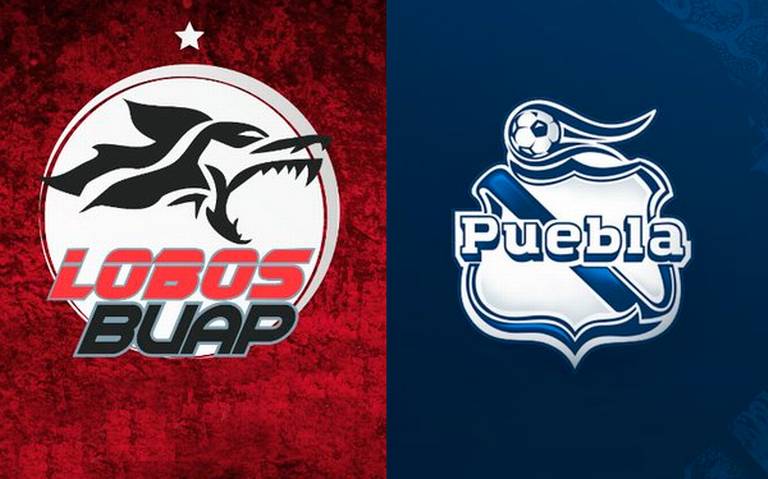 Cara a cara en el camino a la liguilla: Lobos VS Club Puebla - El Sol de  Puebla | Noticias Locales, Policiacas, sobre México, Puebla y el Mundo