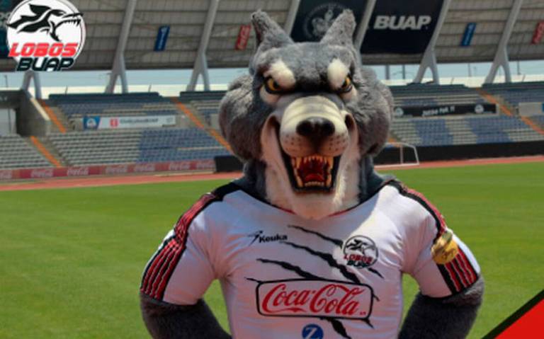 Conoce a los 12 nuevos integrantes del equipo de Lobos BUAP - El Sol de  Puebla | Noticias Locales, Policiacas, sobre México, Puebla y el Mundo