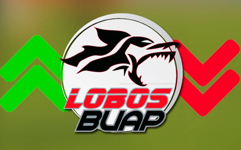 La BUAP no tiene información sobre este negocio”: representante legal sobre  probable venta de Lobos puebla deportes futbol ciudad juarez liga mx - El  Sol de Puebla | Noticias Locales, Policiacas, sobre