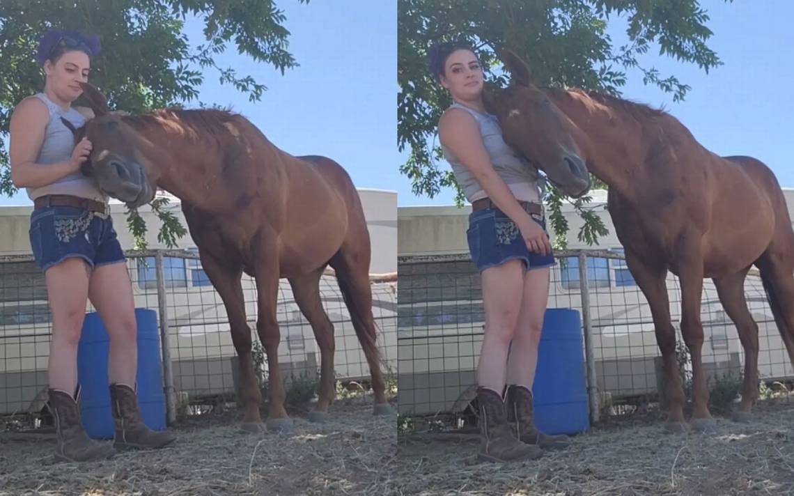 Caballo consuela a su cuidadora que llora al atravesar difícil momento [ Video] - El Sol de Puebla | Noticias Locales, Policiacas, sobre México,  Puebla y el Mundo