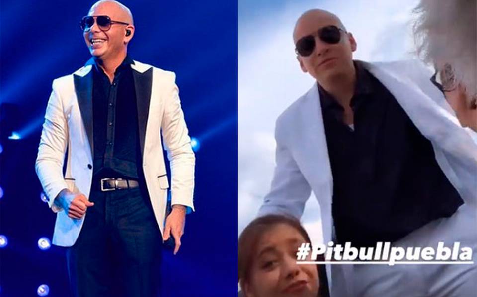 Porqué es tendencia Pitbull en Puebla? - El Sol de Puebla | Noticias  Locales, Policiacas, sobre México, Puebla y el Mundo