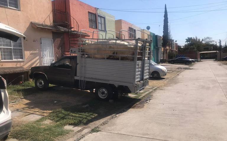 Abandonan camioneta cargada con toros en Izúcar de Matamoros - El Sol de  Puebla | Noticias Locales, Policiacas, sobre México, Puebla y el Mundo