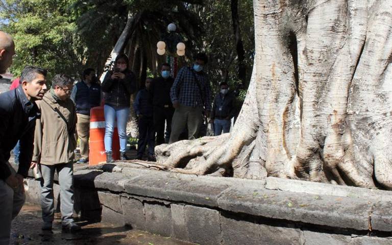 Miguel Barbosa cortar árboles de Zócalo sin dictamen es prematuro - El Sol  de Puebla | Noticias Locales, Policiacas, sobre México, Puebla y el Mundo