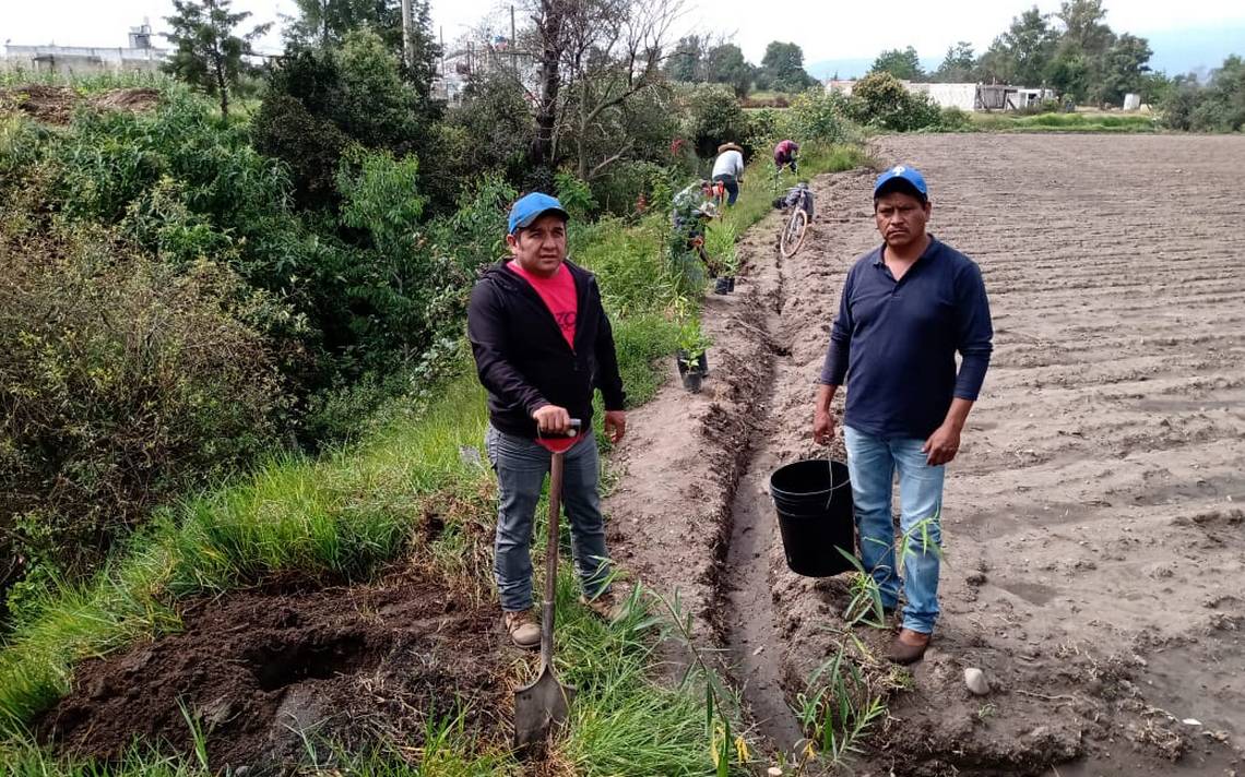 En esta comunidad de Puebla producen árboles para reforestar cauce de ríos  Tlanalapan - El Sol de Puebla | Noticias Locales, Policiacas, sobre México,  Puebla y el Mundo