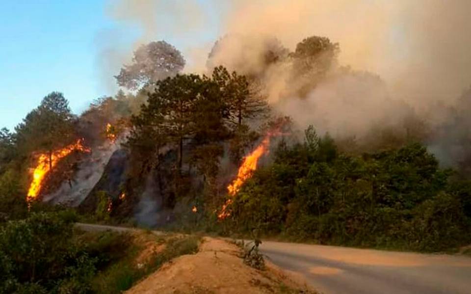 https://www.elsoldepuebla.com.mx/local/estado/bmdjlv-incendio-zacatlan/ALTERNATES/LANDSCAPE_960/incendio%20Zacatl%C3%A1n