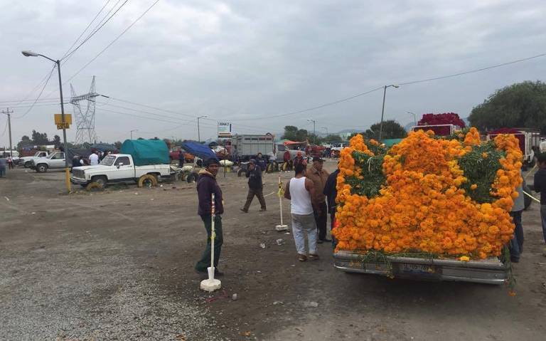 Cae precio de cempasúchil en Atlixco - El Sol de Puebla | Noticias Locales,  Policiacas, sobre México, Puebla y el Mundo