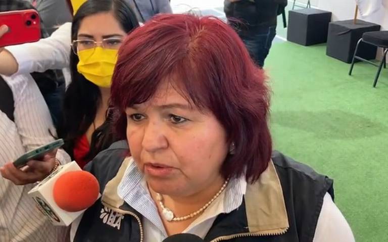 Colectivos ganan amparo para que festejos patrios en Tehuacán sean sin  pirotecnia - El Sol de Puebla