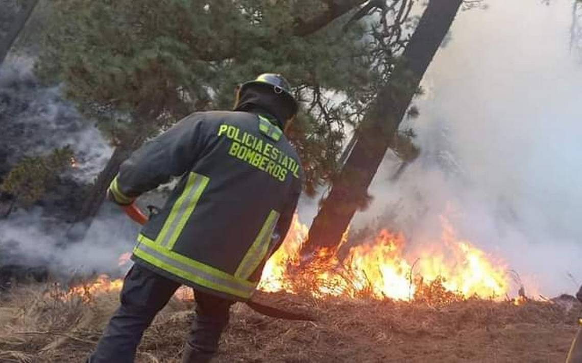 https://www.elsoldepuebla.com.mx/local/pwaswe-casi-250-incendios-forestales-se-registraron-en-puebla-de-enero-a-abril-2023/ALTERNATES/LANDSCAPE_1140/Casi%20250%20incendios%20forestales%20se%20registraron%20en%20Puebla%20de%20enero%20a%20abril%202023